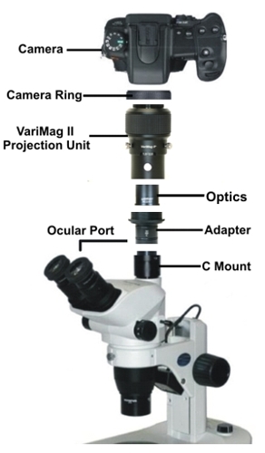 SVBONY Microscope T Adapter Kameraadapter für Mikroskope Objektivadapter Metall 
